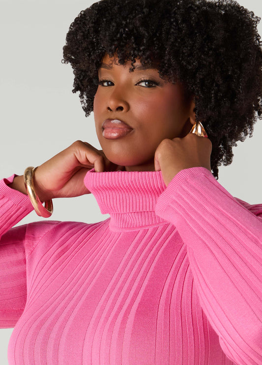 Pullover Turtleneck Sweater