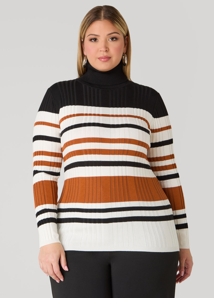 Plus Size Striped Ribbed Turtleneck Sweater