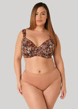 Lace Paneled Hipster Panties