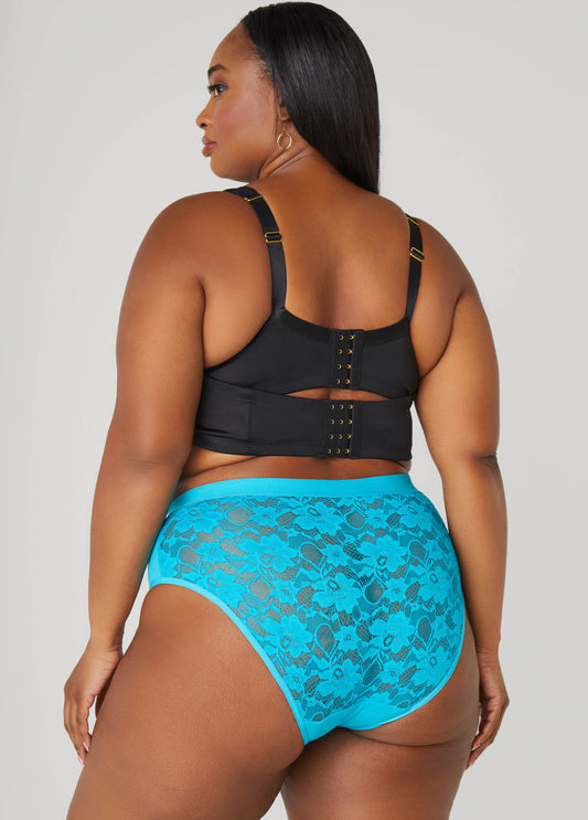 Lace Paneled Hipster Panty