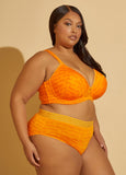Microfiber Sheer Waist Brief Panty