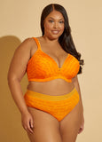 Microfiber Sheer Waist Brief Panty