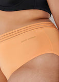 Sheer Waist Briefs