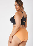 Sheer Waist Briefs