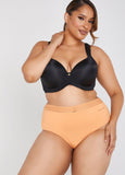 Sheer Waist Briefs
