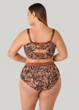 Animal Print Sheer Waist Briefs