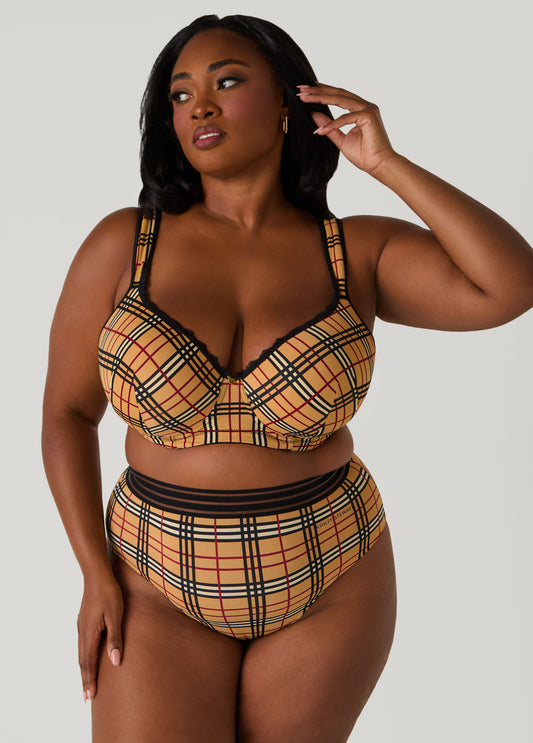 Plus Size Plaid Sheer Waist Briefs