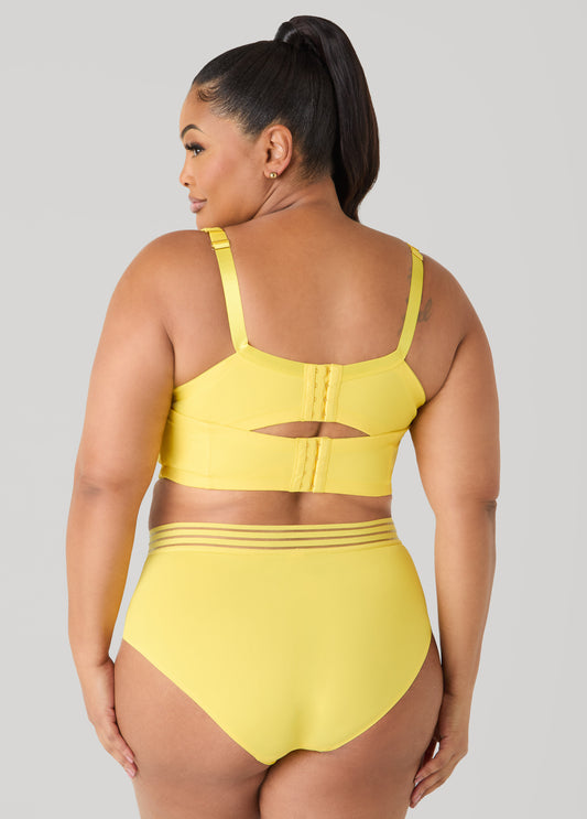 Sheer Waist Microfiber Briefs