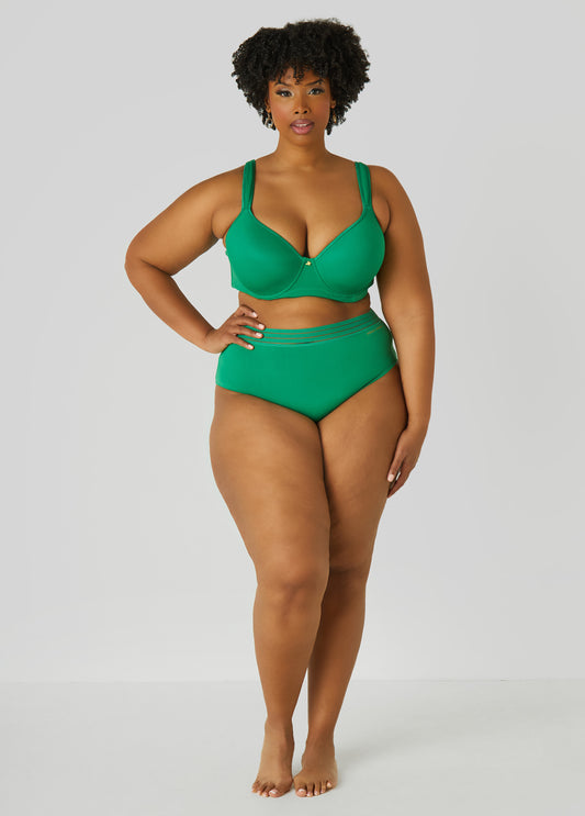 Plus Size Microfiber Sheer Waist Briefs