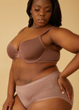 Mesh Paneled High Cut Briefs