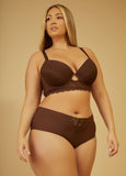 Lace Paneled Hipster Panty