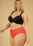 Lace Paneled Hipster Panty