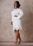 The Skye Lace Sheath Dress