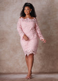The Skye Lace Sheath Dress