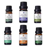 Pursonic 6 Pack Pure Essential Aromatherapy Oils