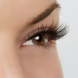 Hustle in Heels Lashes