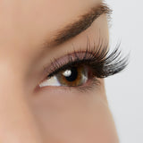 Making Moves Lashes