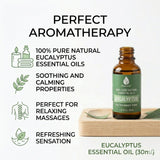 Pursonic Pure And Natural Eucalyptus Essential Oils