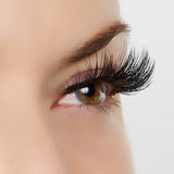 As You Were Saying Lashes