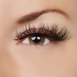 As You Were Saying Lashes