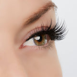 WOW! Woman Of Worth Lashes