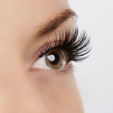 Timeless Beauty Lashes
