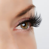 Center Of Attention Lashes