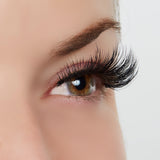 Positively Captivating Lashes
