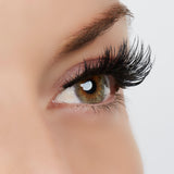 Original Inspo Lashes