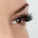Sexy Classy Lashes