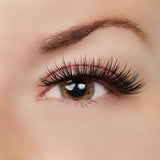 Sexy Classy Lashes