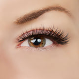 Above And Beyond Lashes