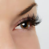 Wait For It... Lashes