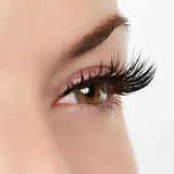 Role Model Lashes