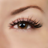 Role Model Lashes