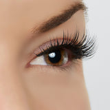 Perfect Vision Lashes