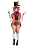 Adventurous Hatter Halloween Costume