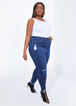 Plus Size Skinny Jeans High Waist Stretchy Denim Distressed Skinny Jean image number 0