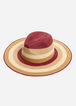 Colorblock Raffia Panama Hat, Fig Leaf image number 0