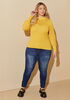 Crochet Paneled Sweater, Spicy Mustard image number 2
