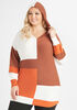Colorblock Knitted Hooded Tunic, Multi image number 2