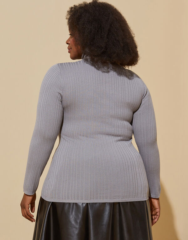 Long Sleeved Turtleneck Sweater, Alloy image number 1