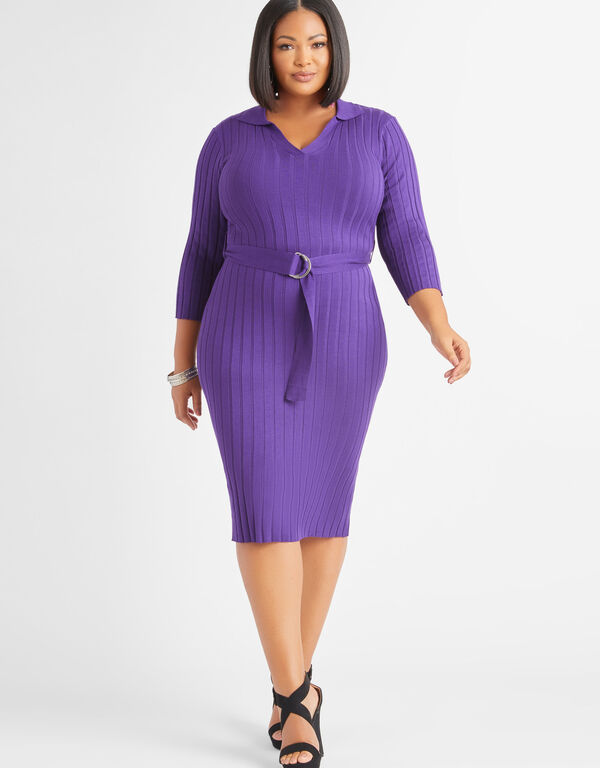 Belted Ribbed Knit Sweater Dress, Acai image number 0
