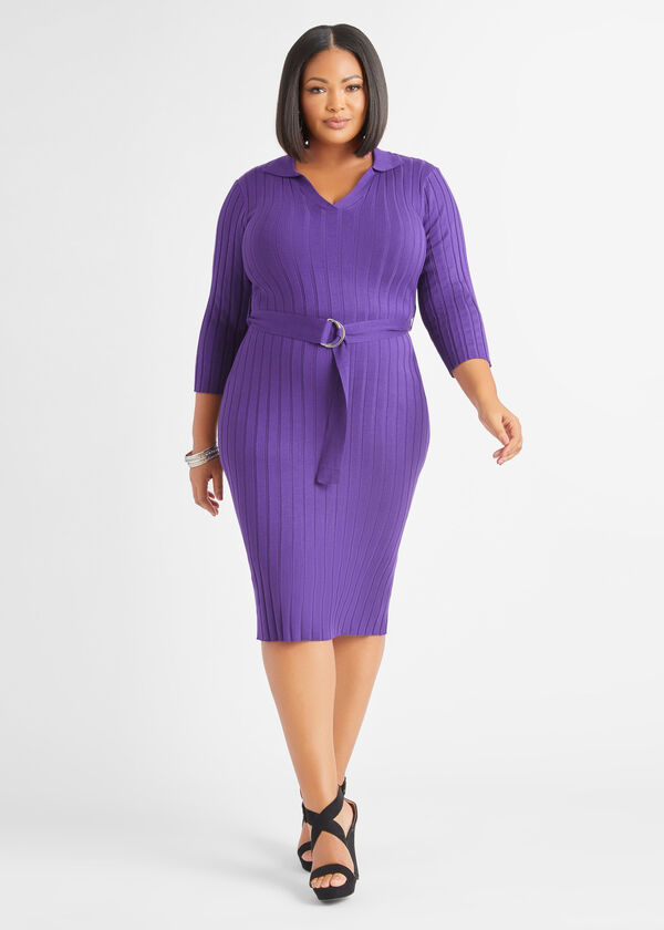 Belted Ribbed Knit Sweater Dress, Acai image number 0