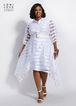 Plus Size Belted Organza Stripe A Line Asymmetric Puff Sleeve Dresses image number 0