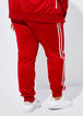 Striped Stretch Knit Joggers, Barbados Cherry image number 1