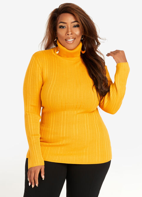 Plus Size Chic Rib Knit Lightweight Stretch Sleek Turtleneck Sweater image number 0