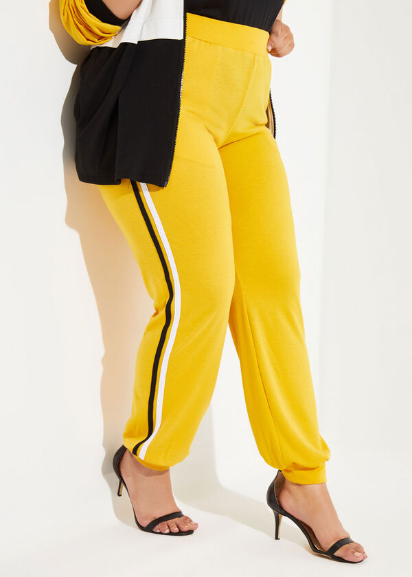 Striped French Terry Joggers, Nugget Gold image number 0
