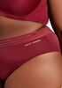 Sheer Waistband Micro Brief Panty, Rhododendron image number 2