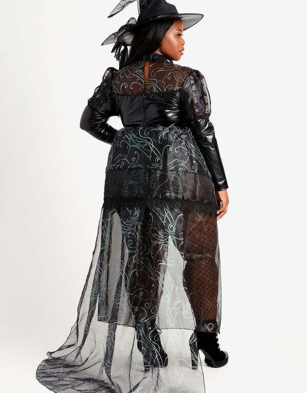 Wicked Witch Halloween Costume, Black image number 1